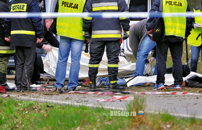 7 подростков погибли в ДТП в Польше