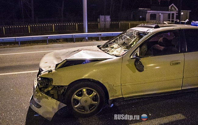 Два пешехода попали под колеса на трассе Хабаровск-Владивосток