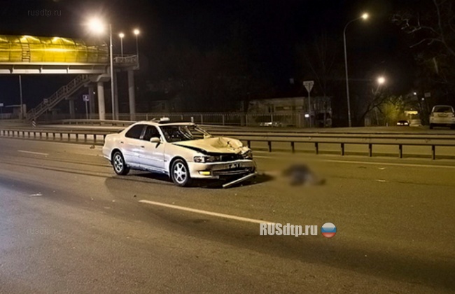 Два пешехода попали под колеса на трассе Хабаровск-Владивосток
