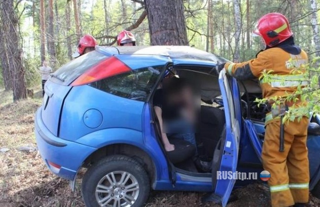 Ford врезался в дерево &#8212; 20-летний водитель погиб
