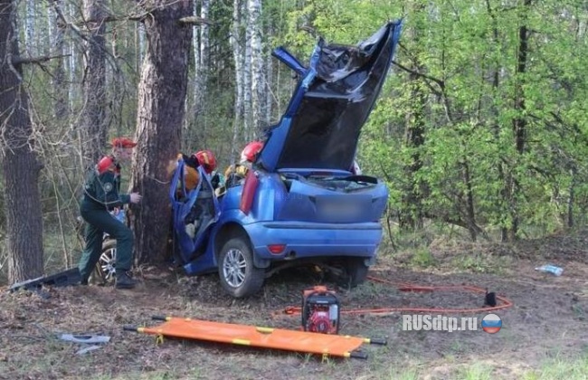 Ford врезался в дерево &#8212; 20-летний водитель погиб