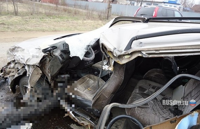 В Чувашии водитель сбил пешехода и погиб сам