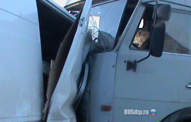 Лобовое Фиата и КамАЗа