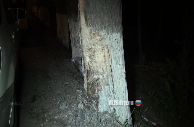 Субару влетел в дерево на трассе Алматы-Каскелен