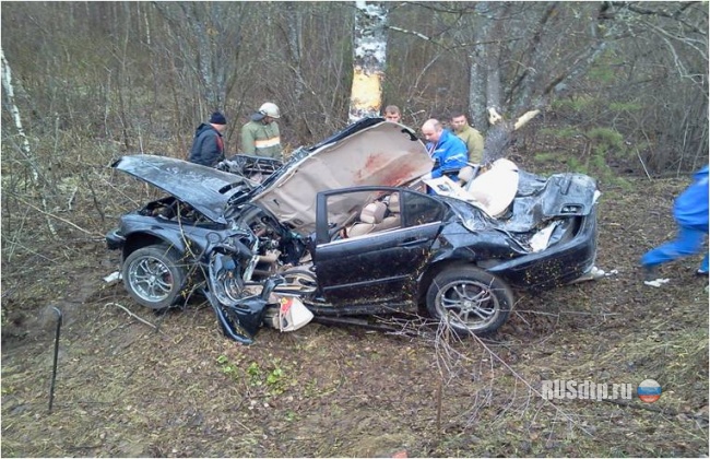 BMW врезался в дерево в Бежецком районе. Погибли 3 человека