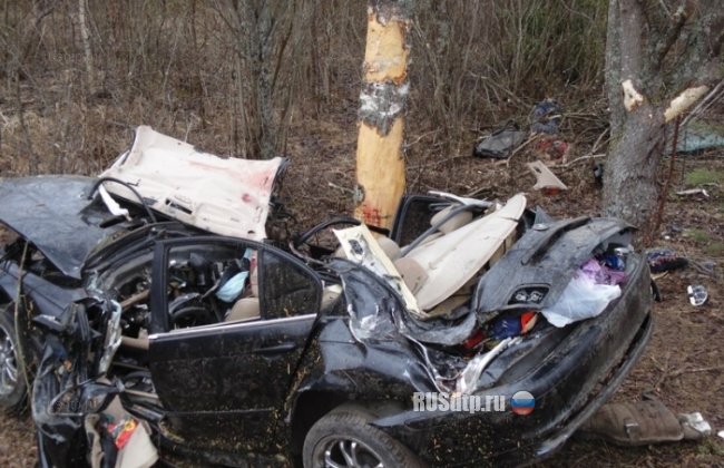BMW врезался в дерево в Бежецком районе. Погибли 3 человека