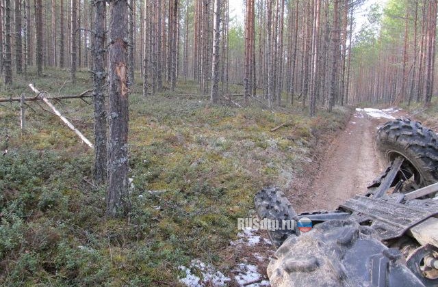 Водитель снегоболотохода погиб на лесной дороге в Карелии