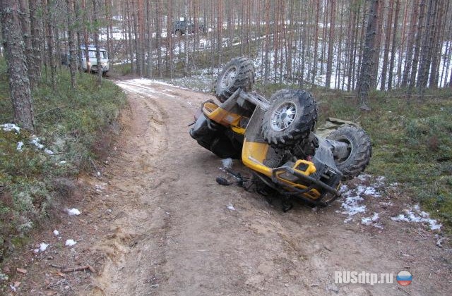 Водитель снегоболотохода погиб на лесной дороге в Карелии
