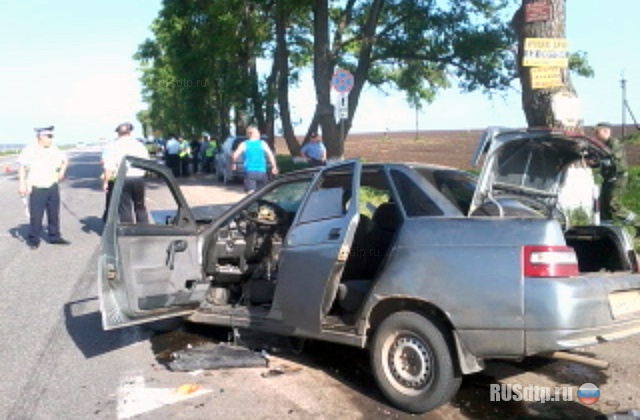 Трое погибших на трассе Ростов- Таганрог (фото, видео)
