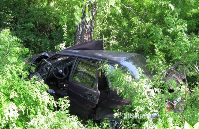 На Луганщине в ДТП погиб ребенок