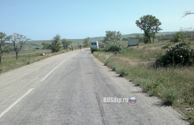 Вот корова!