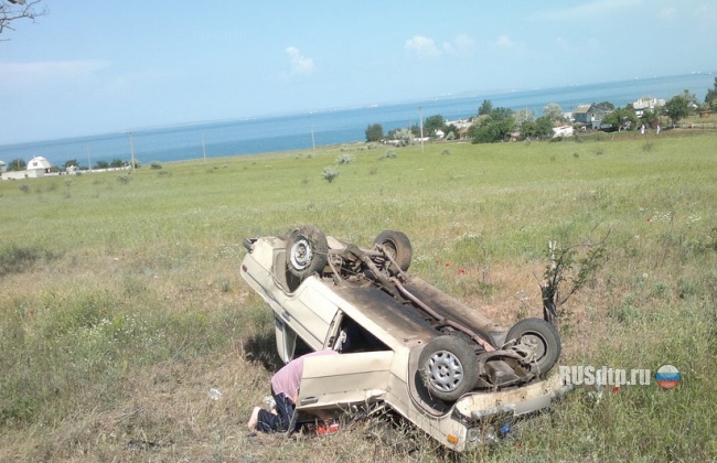 Вот корова!