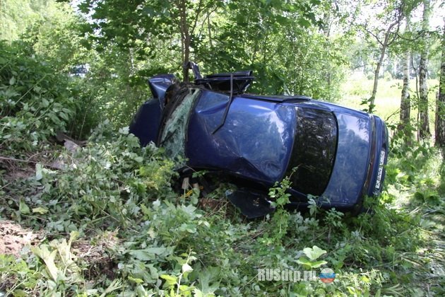 В Марий Эл водитель сбил пешеходов и сам погиб в ДТП