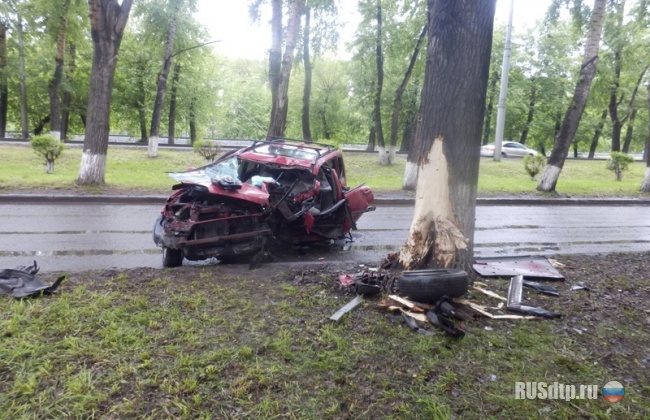 Ниссан врезался в дерево в Новокузнецке