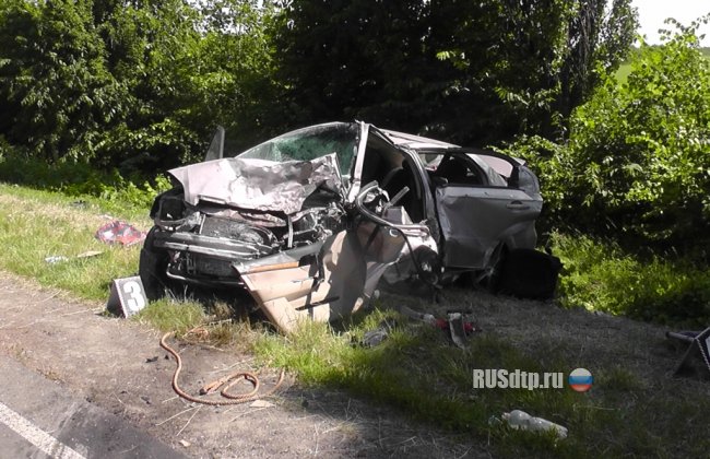 В ДТП под Кировоградом погибли оба водителя и годовалая девочка