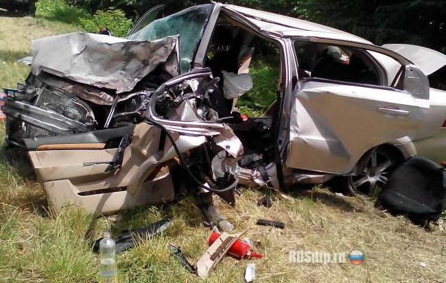 В ДТП под Кировоградом погибли оба водителя и годовалая девочка