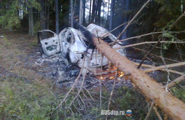 BMW X6 сгорел врезавшись в дерево на трассе