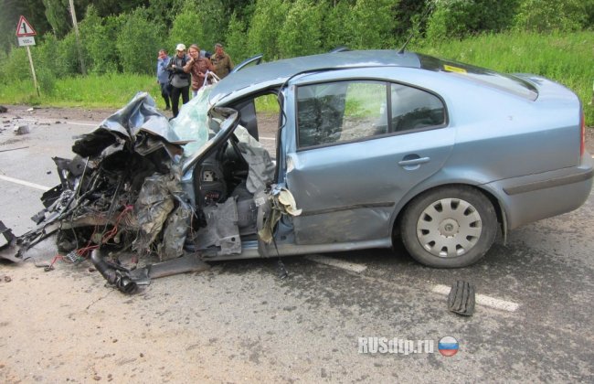На границе Прикамья погиб водитель фургона ГАЗ