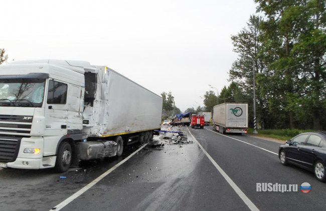 На трассе М10 «Россия» столкнулись два грузовика