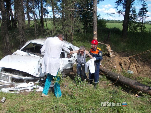 Сущево костромская область фото