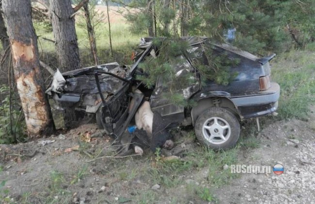 Под Тулой водитель врезался в дерево и погиб