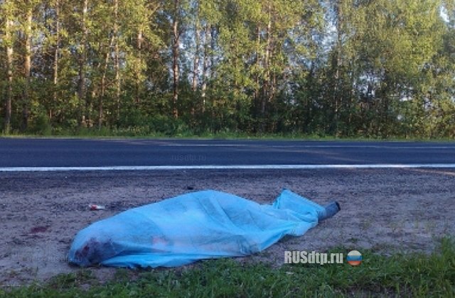 В Ивановской области погиб американский путешественник
