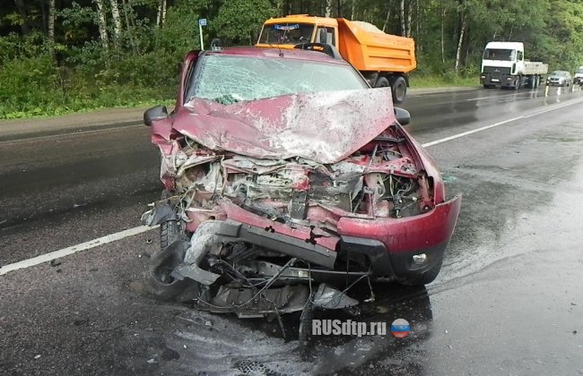У деревни Байгуши во Владимирской области погиб водитель
