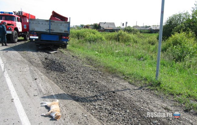 Из- за кошки в Тюменской области погибли подполковник МЧС с супругой