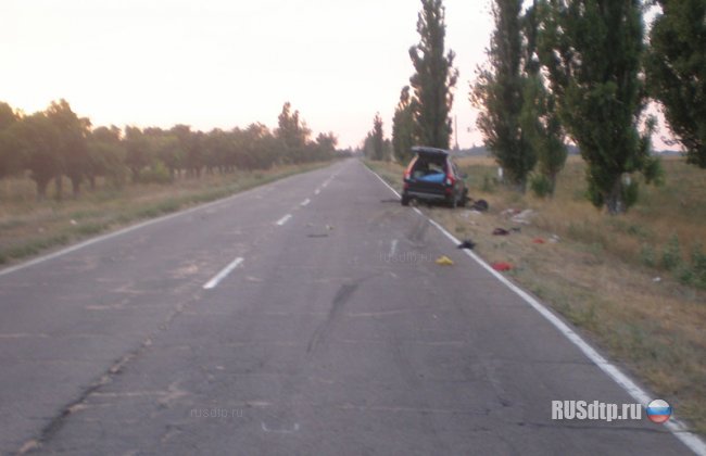 Россиянин врезался в гужевую повозку &#8212; погиб пассажир
