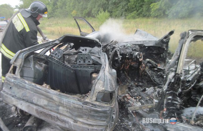 Водитель сгорел после крупного ДТП в Мордовии