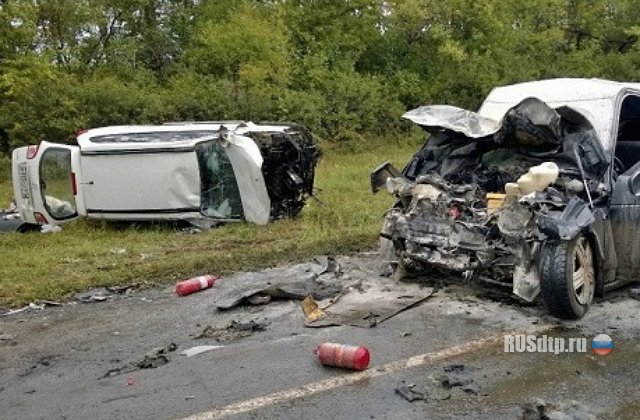 В Татарстане погибла пассажирка ВАЗа