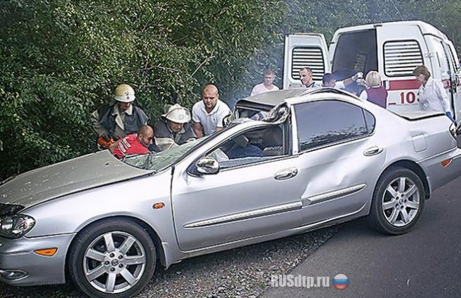 В результате аварии под Николаевом погибли 2 человека