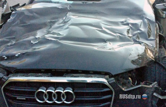 В Ивановской области водитель погиб, сбив на автомобиле лося
