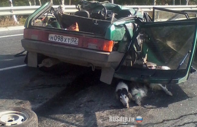 В Саратовской области погибла женщина и четыре собаки