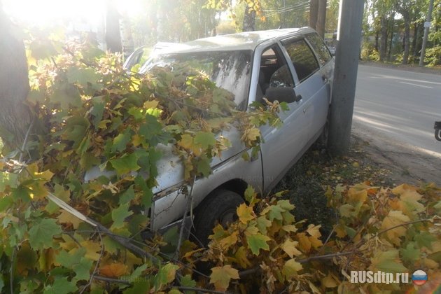 Пьяная мать едва не убила своих детей, врезавшись в дерево