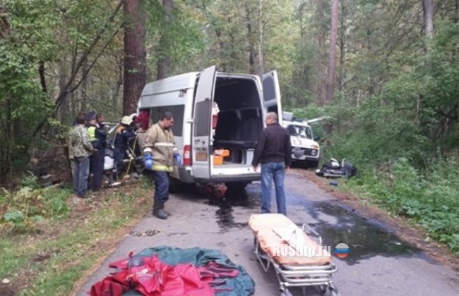 В Самарской области погиб водитель микроавтобуса