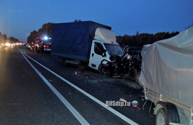 Уснувший водитель грузовика устроил смертельное ДТП на трассе М-10 «Россия»