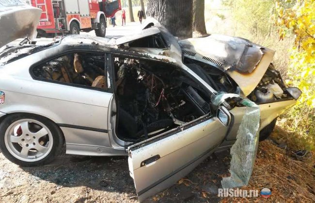 BMW врезался в дерево и загорелся