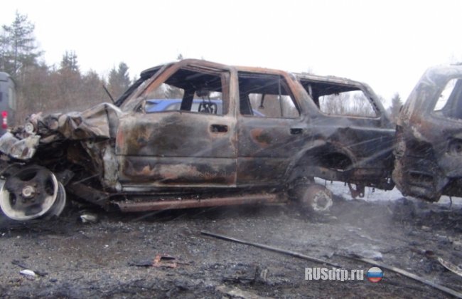 В Вологодской области погиб чиновник правительства области