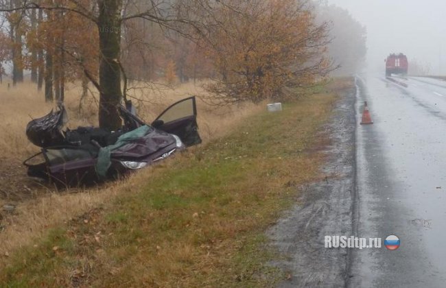 В Курской области в аварии погибла беременная женщина и водитель