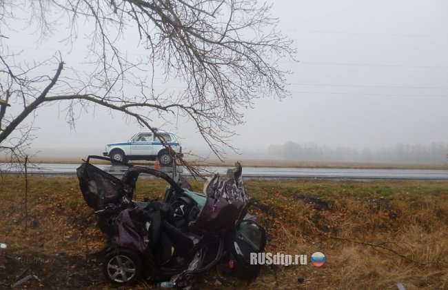 В Курской области в аварии погибла беременная женщина и водитель