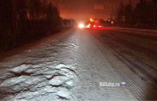 В ХМАО мужчина погиб, переползая через дорогу