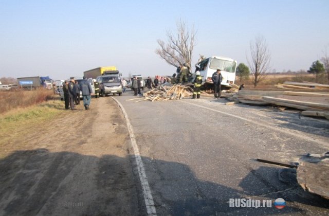 В ДТП с автобусом в Нижегородской области погибли 6 человек
