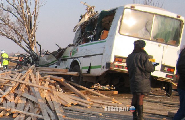 В ДТП с автобусом в Нижегородской области погибли 6 человек