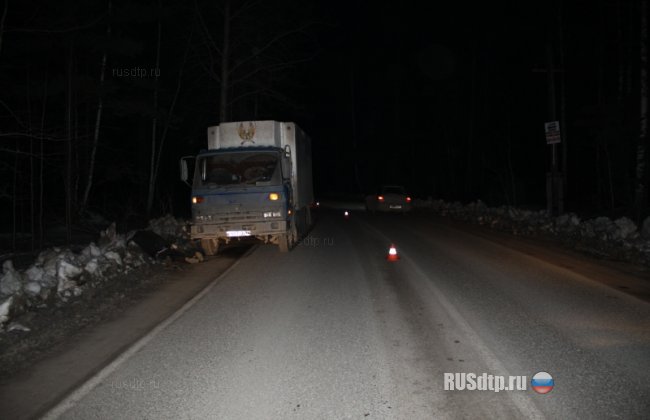 В Свердловской области погиб пешеход