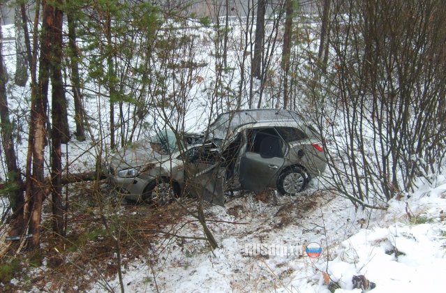 ДТП в Ульяновской области