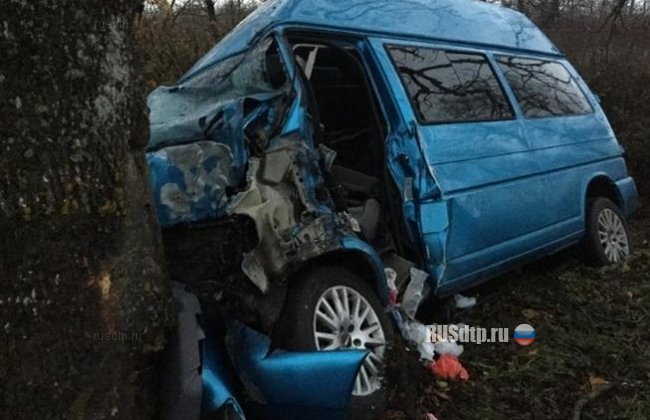 В Калининградской области в аварии погиб человек