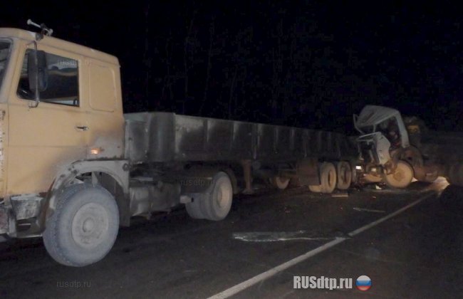 В Кировской области столкнулись два грузовика МАЗ