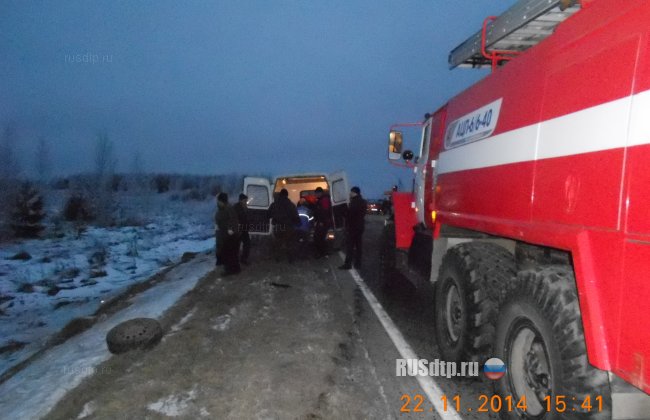 Мужчина и ребенок погибли в Кировской области