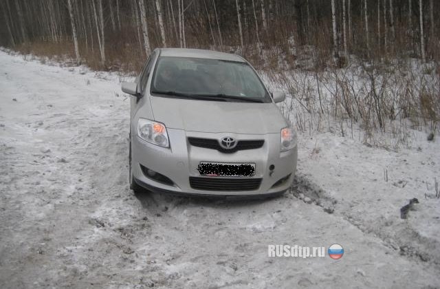В Свердловской области в аварии погибли 2 человека